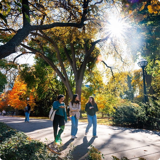 Students walking on campus on a sunny autumn day